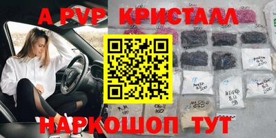 гашик Кунгур
