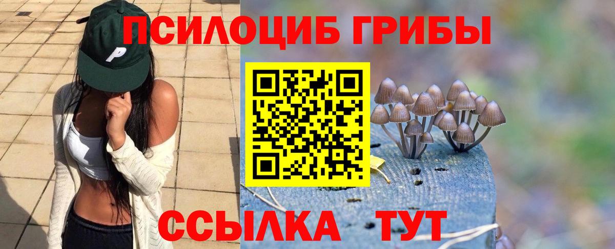Галлюциногенные грибы прущие грибы Каменск-Шахтинский
